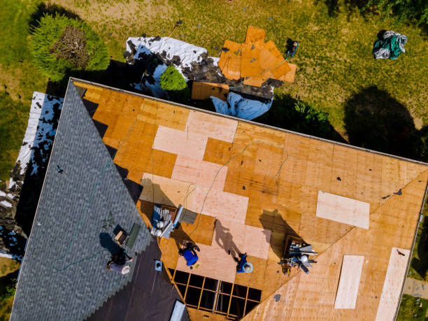 Quick and Trustworthy Emergency Roof Repair Services in Clarkton, MO