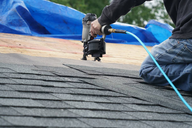 Best Storm Damage Roof Repair  in Clarkton, MO