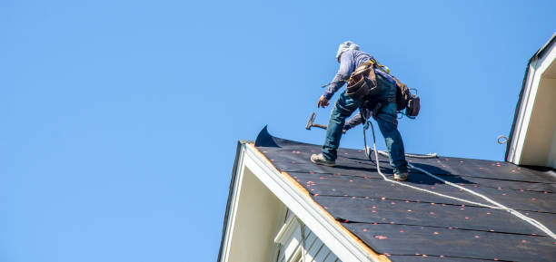 Roof Gutter Cleaning in Clarkton, MO